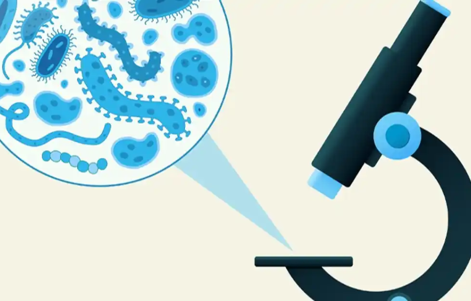 Event - STEAM microscopes